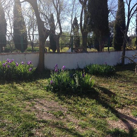Agroturismo Calixto Villarrobledo Eksteriør bilde