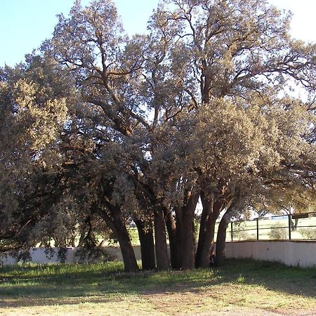 Agroturismo Calixto Villarrobledo Eksteriør bilde