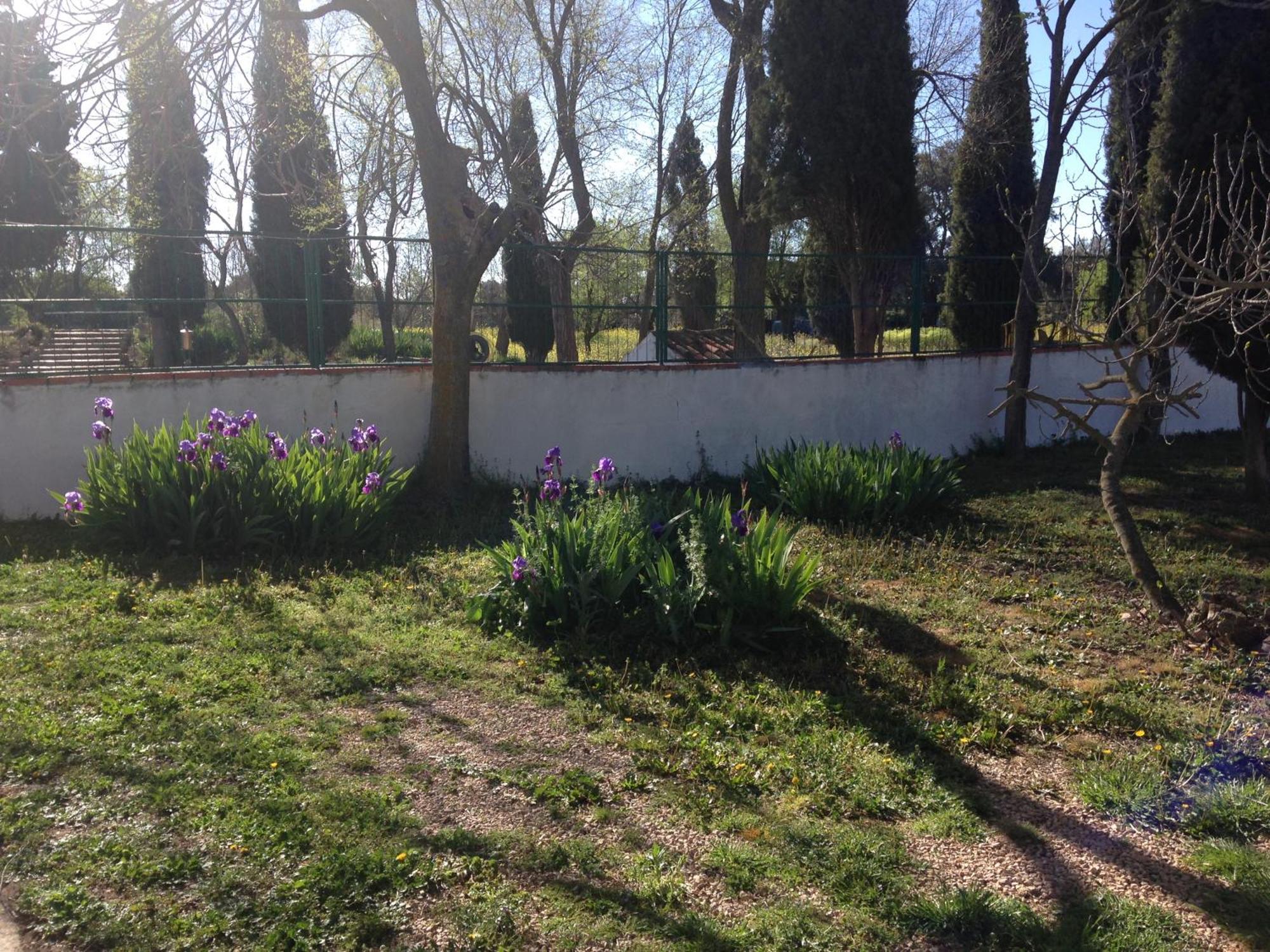 Agroturismo Calixto Villarrobledo Eksteriør bilde